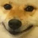 ShibeSmile