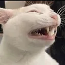 emoji_27