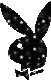 791713603626467360