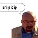 turi