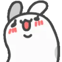 rabbitshaking