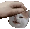 CatHeadPat