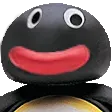kkwtf