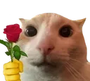 Catrose Catrose