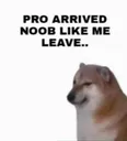 ProsArrivedNoobsLikeMeLeave Discord Emoji