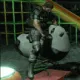 chrisriding chrisriding