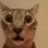 scare scare