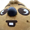 hanquokkastare