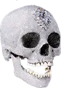 DiamondSkullpsd26899