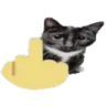 Catfuckyou catfuckyou Discord Emoji