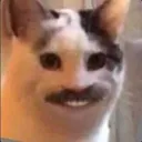 h3h3