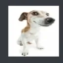 sus Discord Emoji