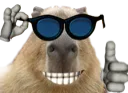 capybaracool