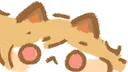 ceobeCurious ceobeCurious
