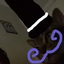 barrytophat