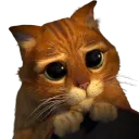 5731cutestaringpussinboots 5731cutestaringpussinboots