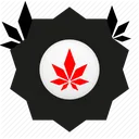 level_8_hc_collector