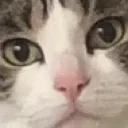 judgementalpatches