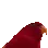 haha_birb haha_birb