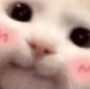 Wg_deaxisbeingcute Discord emoji