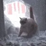 CatLeave CatLeave