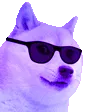 cooldogebrave