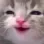 Happy Kitty Discord Emoji