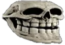 skulled