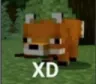 Xd