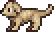 Labrador