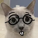 CIkittynerd CIkittynerd