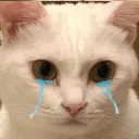 pain