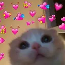 alore_lovecat