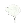 alore_rose1