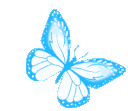 Whiteandbluebutterfly Discord Emoji