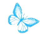 Whiteandbluebutterfly