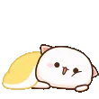 alore_yorgan2