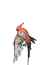 zzuTalonflame Discord emoji