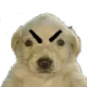 enojao Discord emoji