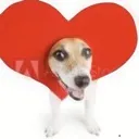 dogily Discord Emoji