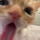 Gulpgulpgulp