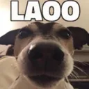 laoo