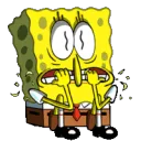 SPONGEBOBSCAREDDISCORD