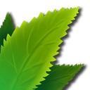 leaf Discord emoji