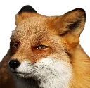 UwUFox