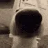 sniffsniff