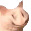 echhappy