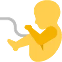 fetus
