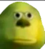 bruh