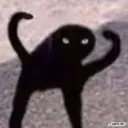 catfight